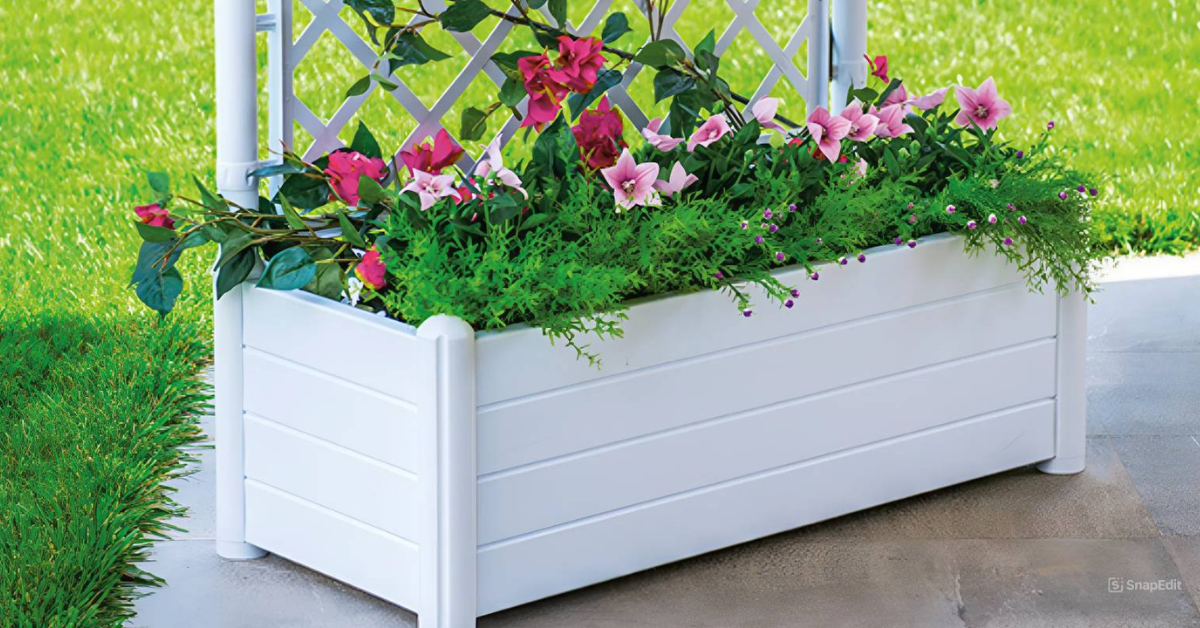Vyvýšené záhony a truhlíky – praktické řešení pro každou zahradu