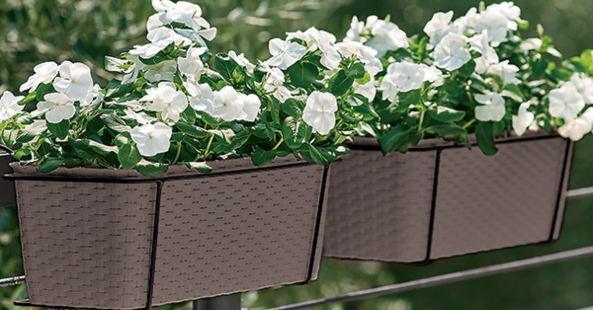 Závěsné truhlíky na balkon a terasu: Snadná cesta k okouzlujícím rostlinám