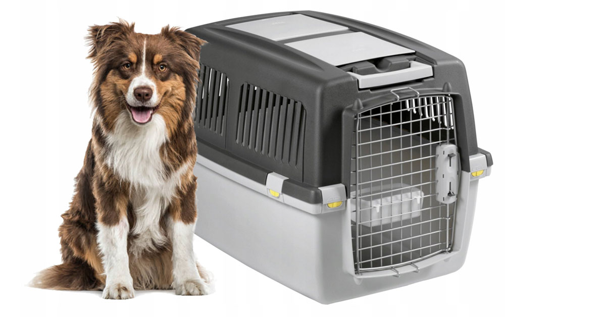 Jak vybrat vhodnou přepravku pro psa