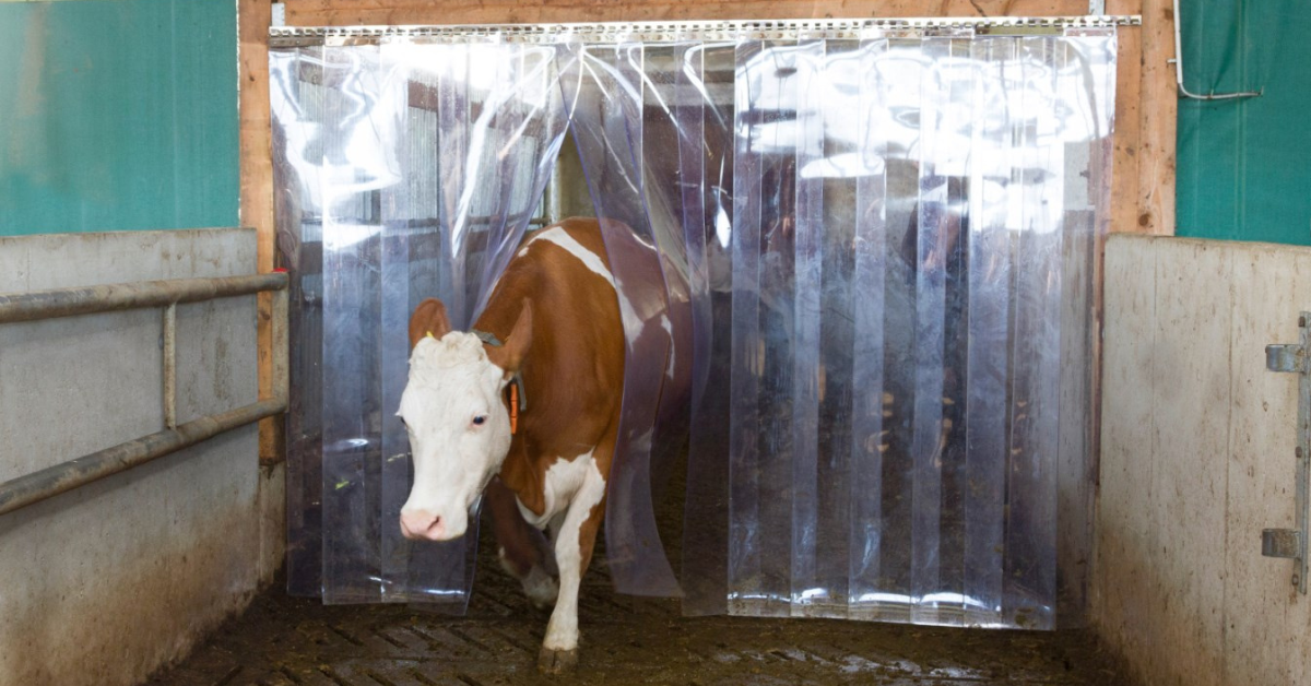 PVC závěsy a lamelové clony: průvodce výběrem a instalací