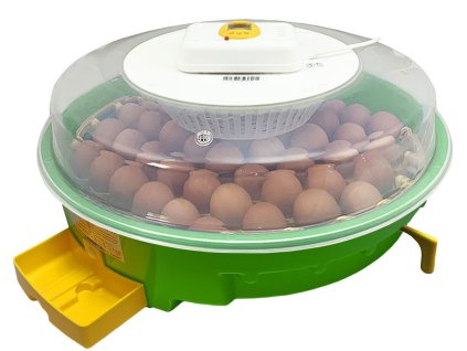 lihen na vejce puisor io 103 tha 06