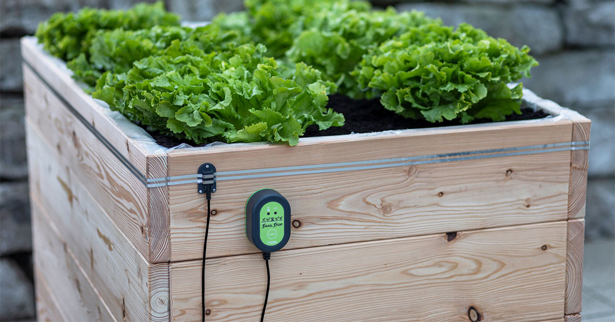 Ako sa brániť proti slimákom