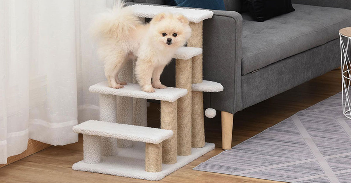 Schodíky pre psov: Ideálny pomocník pre Vášho štvornohého kamaráta