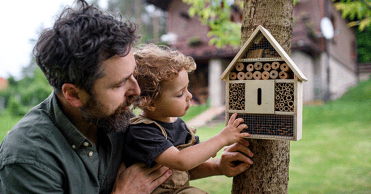 Prečo zaobstarať do záhrady hmyzí domček