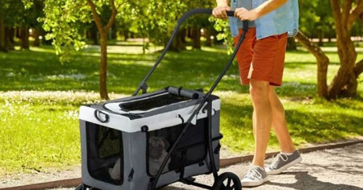 Ako si vybrať správny kočík pre psov