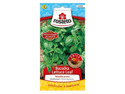 vyr 1774 bazalka lettuce leaf rosteto