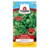 vyr 1774 bazalka lettuce leaf rosteto