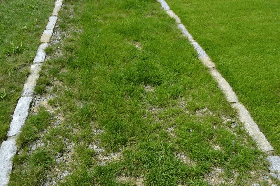 Štěrkové trávníky – alternativa k asfaltu a betonu