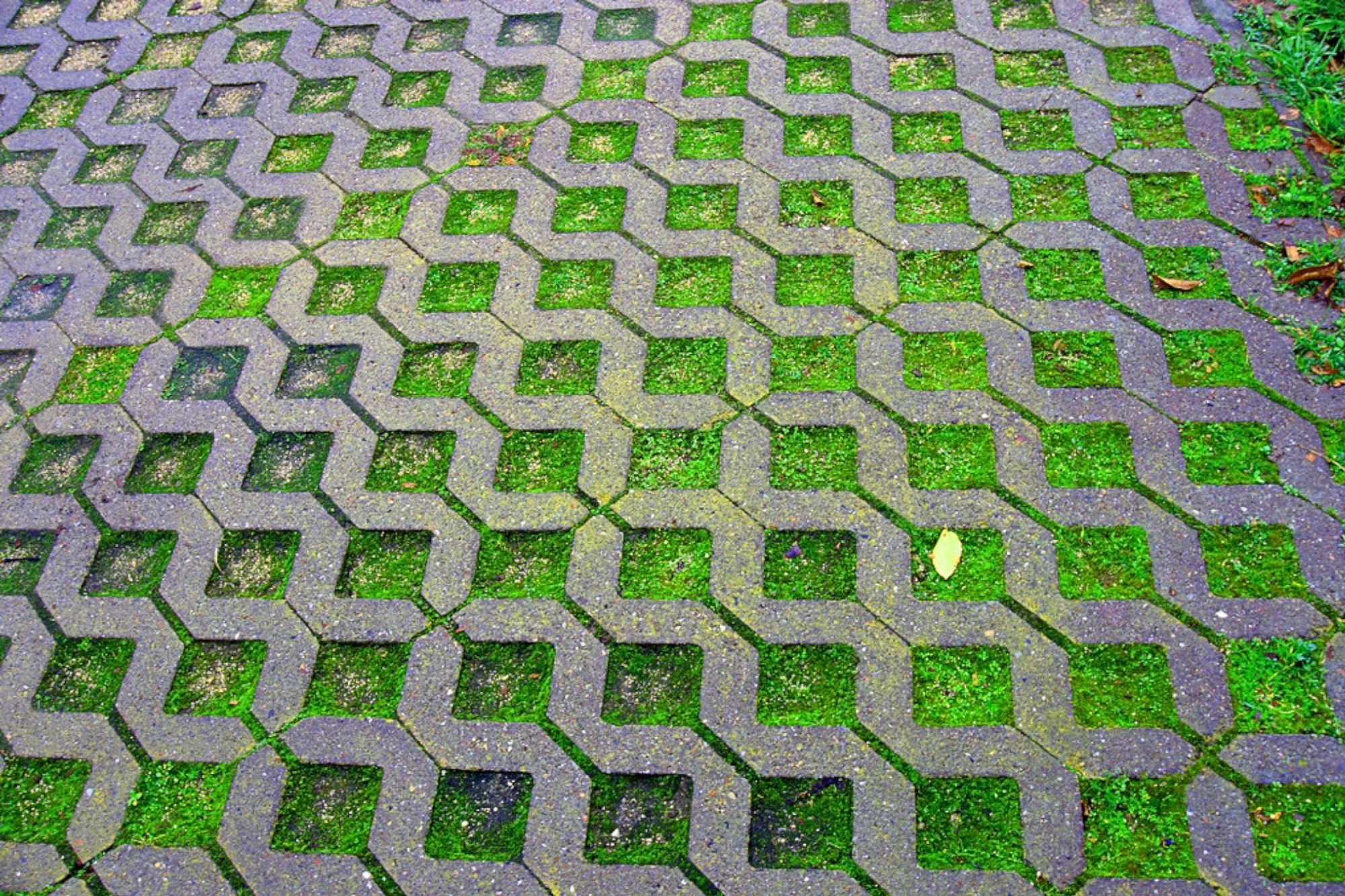 Zatravňovací dlažba. Jak na její ozelenění?