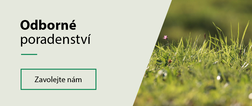 Odborné poradenství