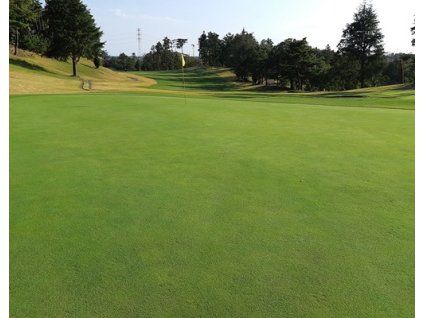 psineček výběžkatý TOURPRO