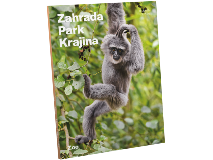 vizualizace titulka ZPK 2 26 web