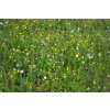102 slunovrat kvetnata louka do sucha pro narocne smesi kvetnate louky r11