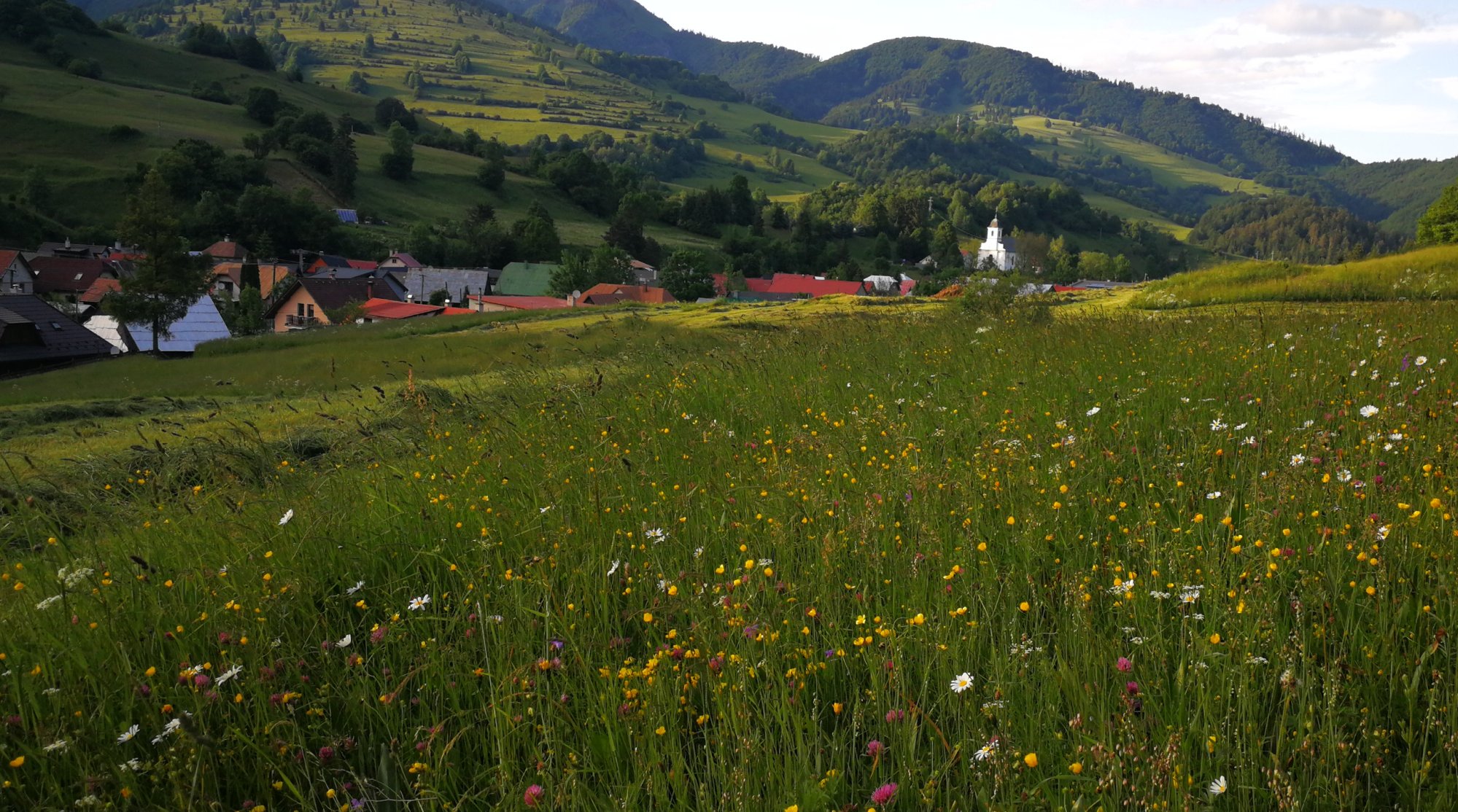 Nie je región ako región