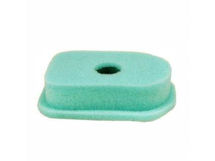 Briggs & Stratton (2)