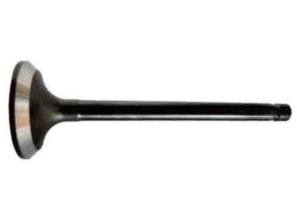 08ae54869f75a764fc26ecaa70797d78 Photoroom