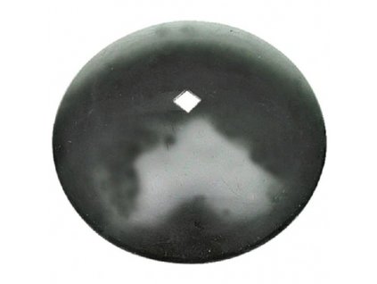 Disk
