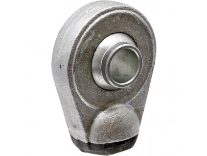 Navarova hlava gulata (2)