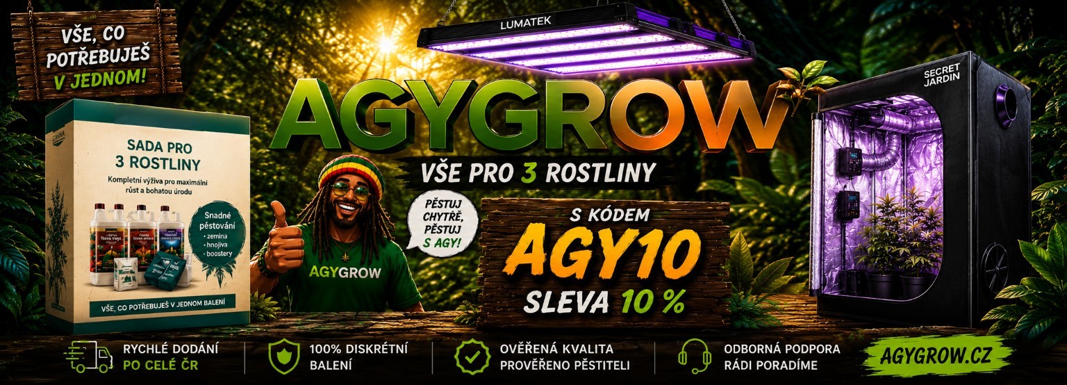 agy sezona