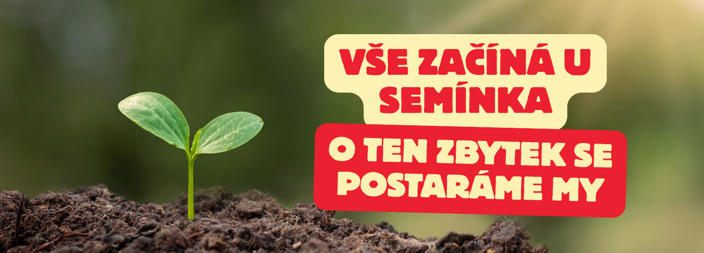 vše začíná u semínka