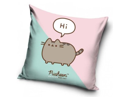 41507 detsky polstarek kocicka pusheen ja kosista
