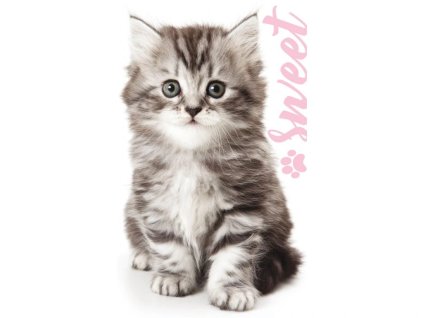 33878 frote rucnicek 30x50 kocourek mourek