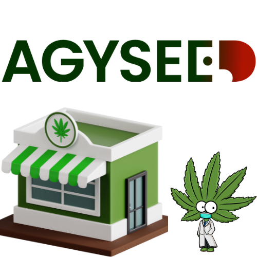 Konopí: Léčivá síla přírody – Průvodce pro zvídavé a hledající 🌱💚