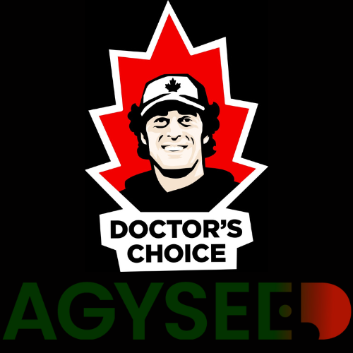 Doctor's Choice: 🧬 Revoluce ve světě konopí – Příběh, Vize, Odrůdy a Tajemství Úspěchu, Která Mění Pravidla Hry! 🌱