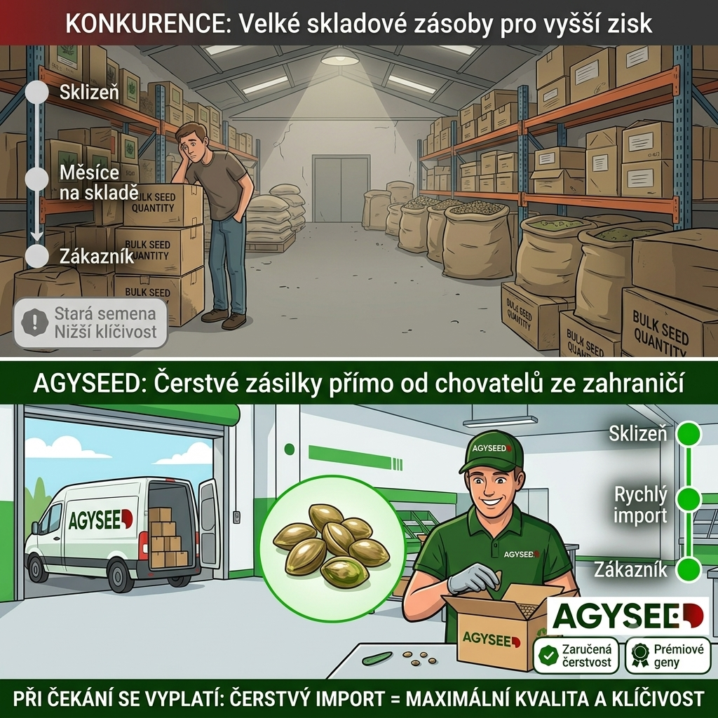 Proč čerstvost vyhrává nad plným skladem? Tajemství úspěšného klíčení, které vám jiné e-shopy neprozradí