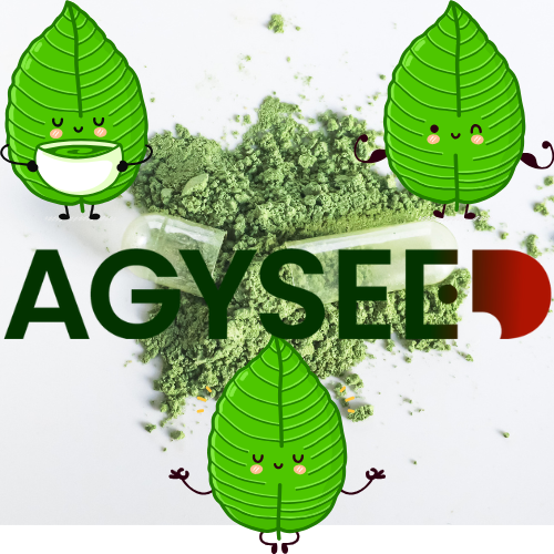 Kratom – co je to, jaké má účinky, druhy, dávkování a rizika