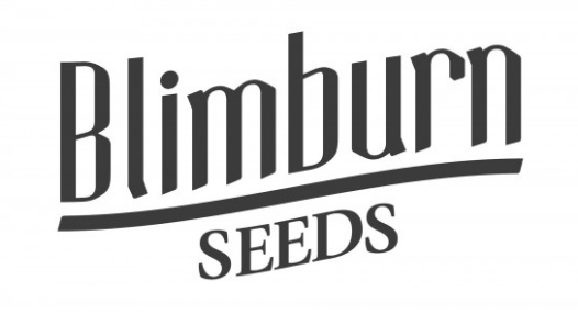 Blimburn Seeds: Cesta k Úspěchu v Konopném Průmyslu