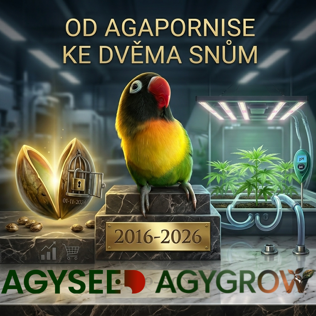 Příběh Agyseed a Agygrow: Od zlomeného srdce k odkazu, který žije dál