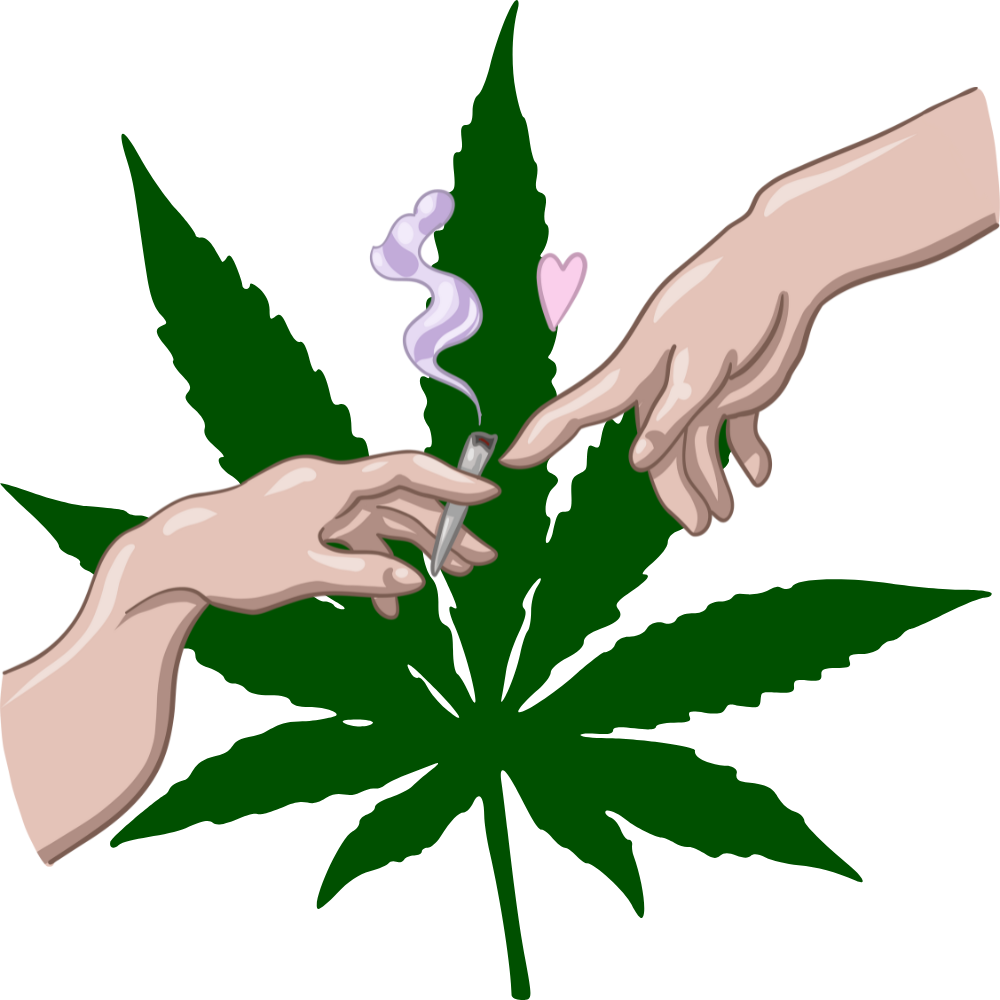 Pěstování legálního konopí (do 1% THC): Mega detailní návod pro nadšence!