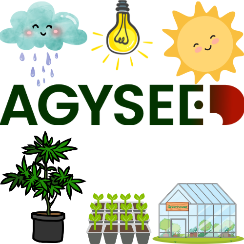 Konopí: Doma, venku a nebo ve skleníku? 🤔 Ultimátní průvodce pro nadšence detailisty a chronické šťouraly 📚🤓