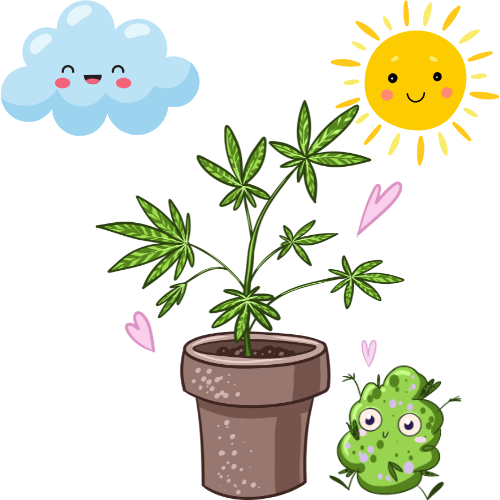 První měsíc života vaší rostlinky: Od titěrného semínka k hrdému zelenému bojovníkovi – Ultimátní průvodce pro začínající pěstitele! 🌱🦸‍♀️