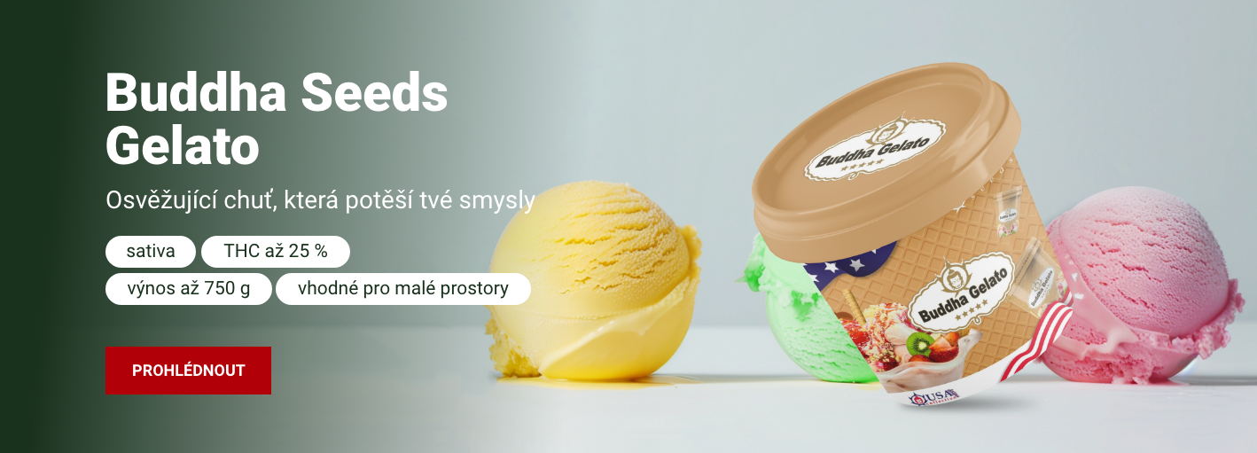 Buddha Seeds Gelato
