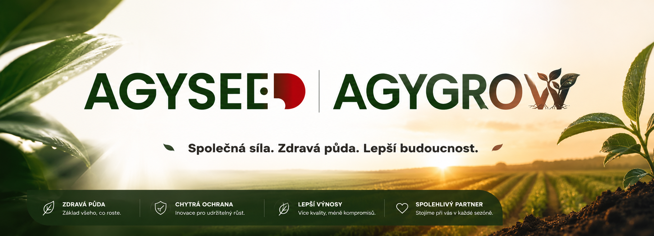 agy agygrow