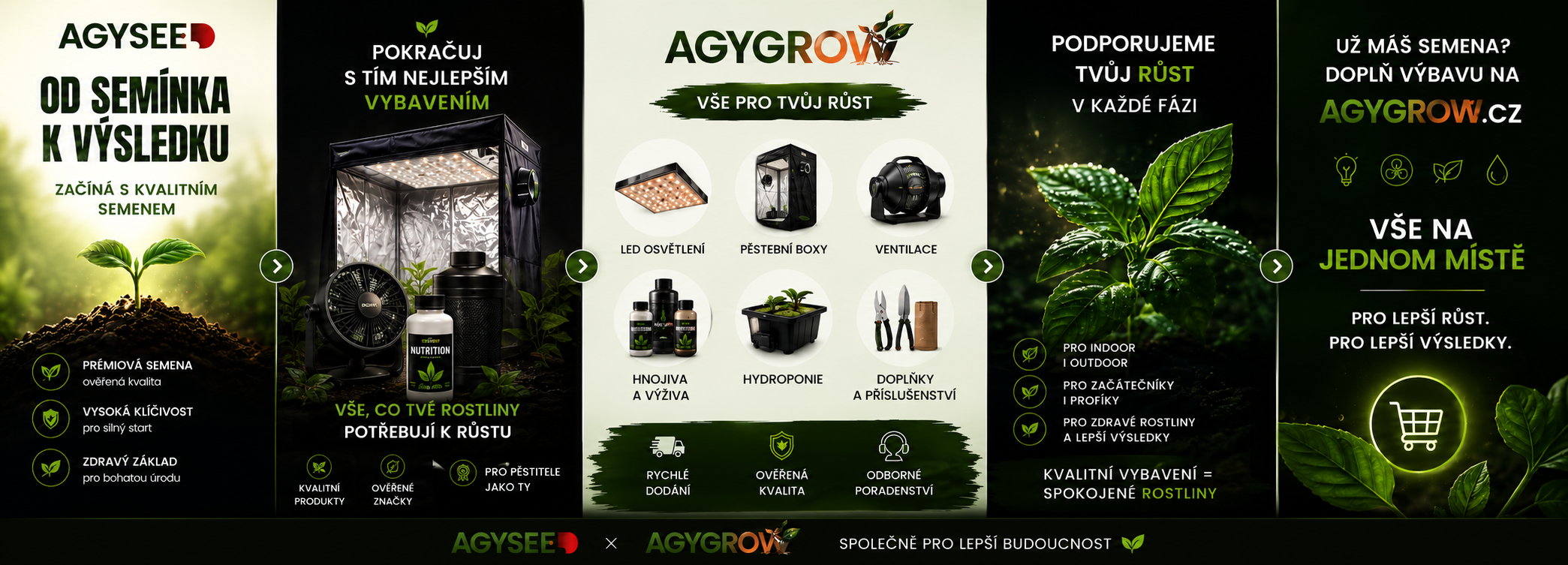 agy agygrow