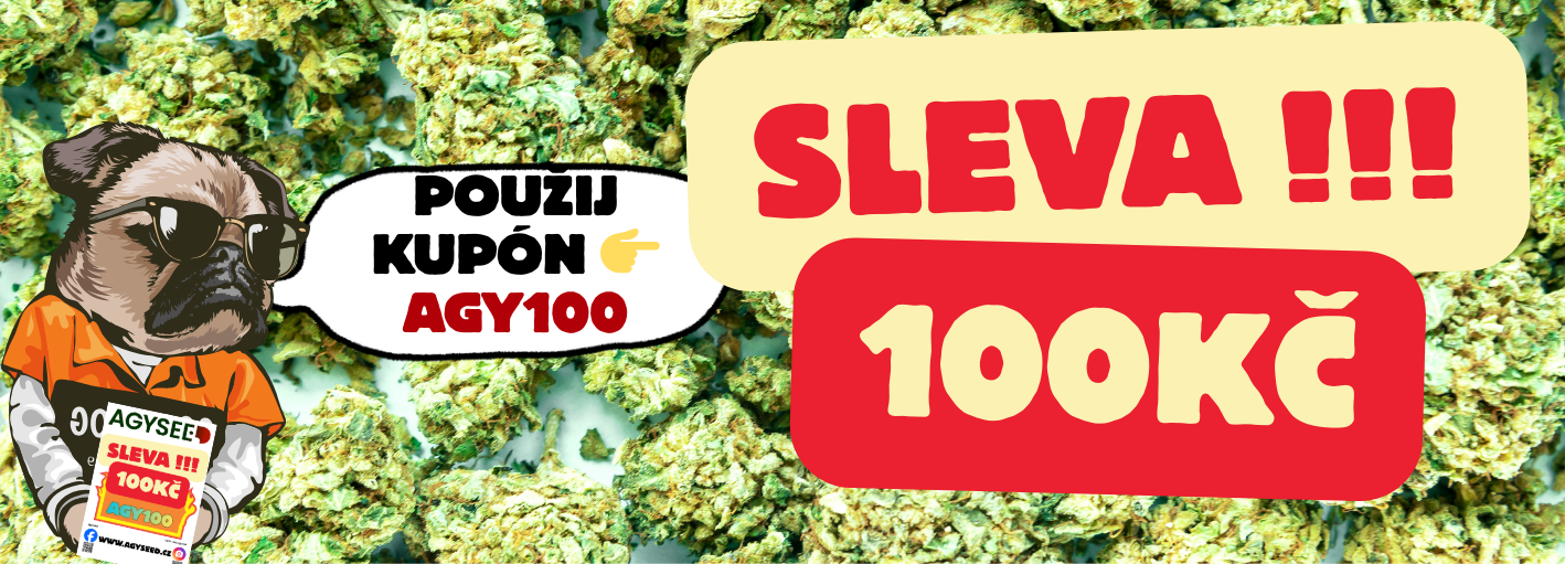 sleva 100
