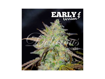 Konopné semínko marmalate early version feminized delicious seeds.jp