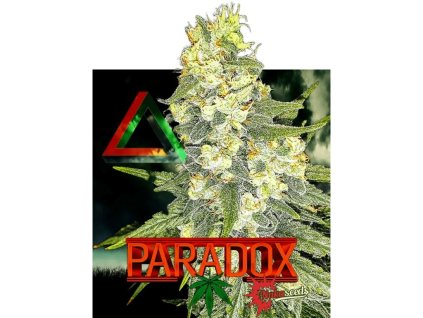 Konopné semínko agyseed nuka paradox palice.jpg