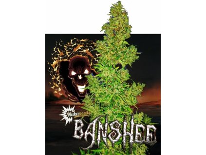 Konopné semínko agyseed nuka seeds banshee.jpg
