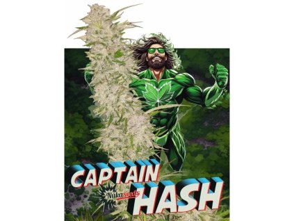 Konopné semínko agyseed nuka seeds captain hash.jpg