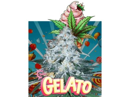 Konopné semínko agyseed nuka seeds gelato.jpg