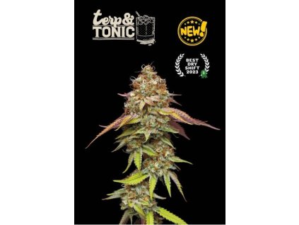terp tonic fem