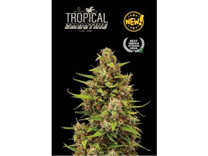 Seedstockers Tropical Zmoothie Auto