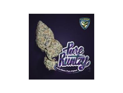 Konopné semínko 2Q (2)