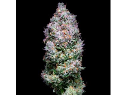 Konopné semínko acai jelly (2)