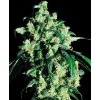 0000306 super skunk feminized se