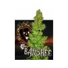 Konopné semínko agyseed nuka seeds banshee.jpg